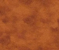 Диван-кровать Дискавери Ливерпуль Аккордеон Коричневый